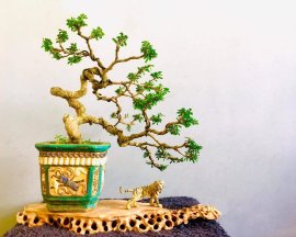 CÁCH CHƠI KHÁC, GÓC NHÌN KHÁC