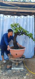 Cẩm thị sống khoẻ