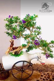 Mình rất vui với món quà của nghệ nhân Võ Anh Tuấn tặng cho bà xã