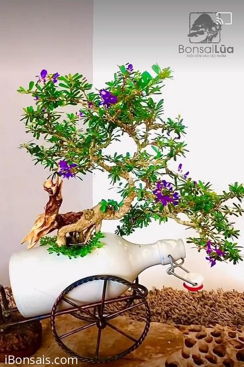 Mình rất vui với món quà của nghệ nhân Võ Anh Tuấn tặng cho bà xã