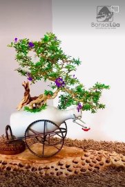 Mình rất vui với món quà của nghệ nhân Võ Anh Tuấn tặng cho bà xã