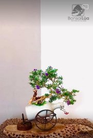 Mình rất vui với món quà của nghệ nhân Võ Anh Tuấn tặng cho bà xã