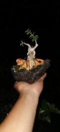 Con Hổ này khi nào thịt được