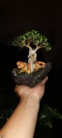 Con Hổ này khi nào thịt được