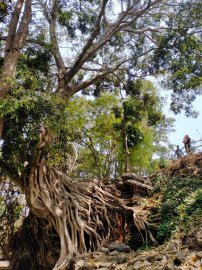 Về với thiên nhiên hoang dã Daklak