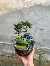 Tiểu cảnh dễ thương