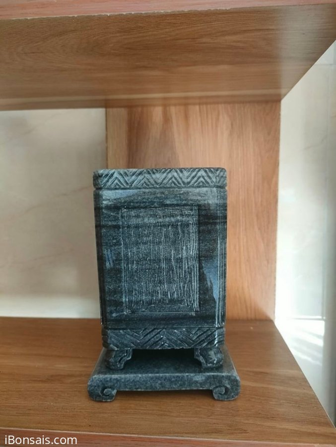 Mẫu chậu đá mới 9x9x25cm - Giá 250k