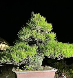 Một tác phẩm 2 đời người.