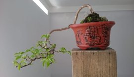 Em Giấy ghép Tím Huế...