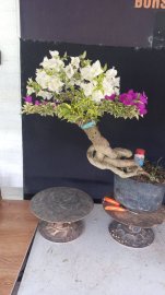 E chỉ còn 2 cây giấy 2 màu là hết hàng
