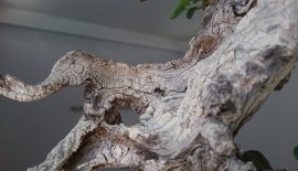 Găng mini lủa zin...