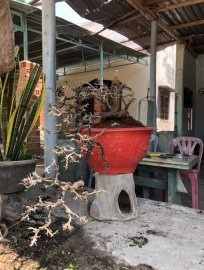 Chia sẻ cùng anh em