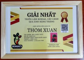 Tác phẩm mai chiếu thủy