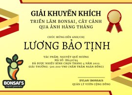 Tác Phẩm Nguyệt Quế Hương