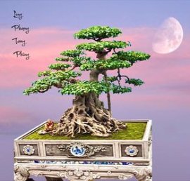 Tác phẩm Long Phượng Tương Phùng