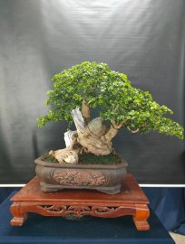 Mời ace vào xem live tối nay nhé!