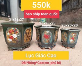 Chậu Bonsai lục giác 