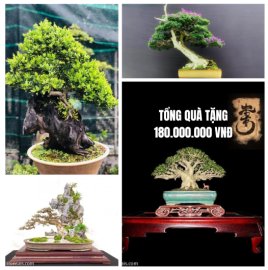 QUÀ TẶNG 180 TRIỆU TRONG NĂM 2023.