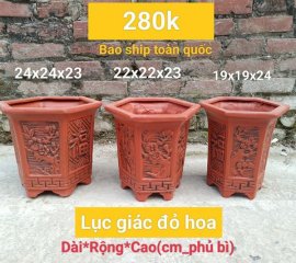 Chậu lục giác đỏ hoa