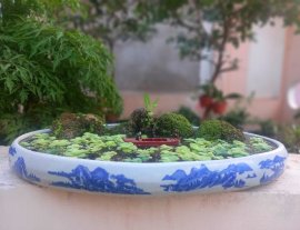 Tác phẩm: Cù lao xanh