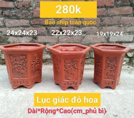 Một số mẫu chậu Bonsai