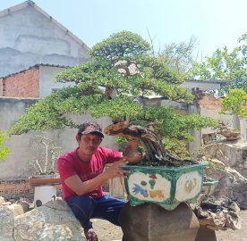 Tác phẩm linh sam sông hinh