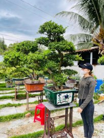 Hải Châu giao lưu