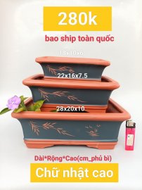 Chậu Bonsai, chữ nhật cao