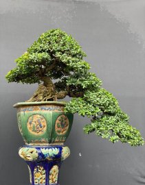 Tác phẩm hải châu