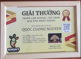 Tác phẩm Trà Phúc Kiến