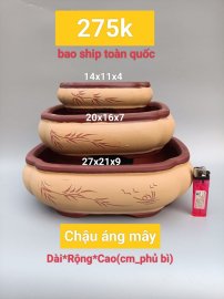 Chậu Bonsai giảm giá