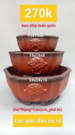 Chậu Bonsai Dọn bãi nốt #230k