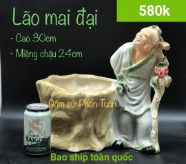 Chậu tượng bonsai.