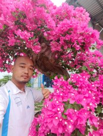 Hoa giấy xác pháo