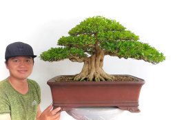 Tác phẩm Nguyệt Quế