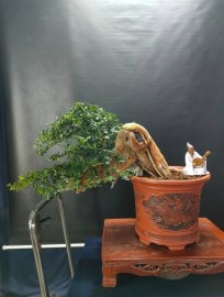 Mời ace vào xem live tối nay nhé!