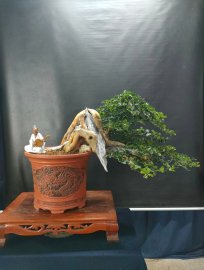 Mời ace vào xem live tối nay nhé!