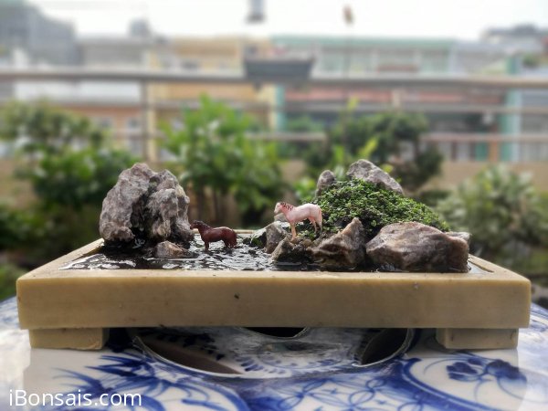 Ngắm chút tiểu cảnh nho nhỏ
