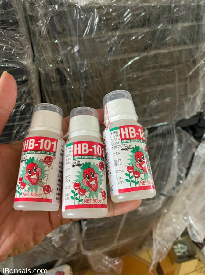 HB-101 dung dịch hỗ trợ tăng trưởng cho cây (lọ 50ml)
