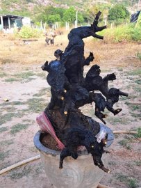 Cẩm thị