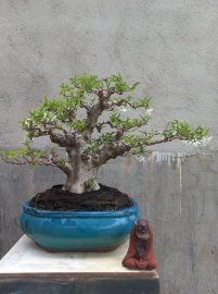 Giao lưu với ae