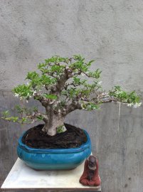 Giao lưu với ae