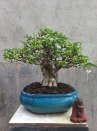 Giao lưu với ae
