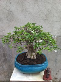 Giao lưu với ae