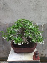 Giao lưu với ae