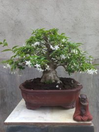 Giao lưu với ae