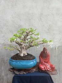 Giao lưu với ae
