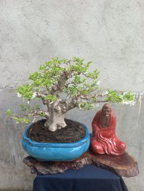 Giao lưu với ae