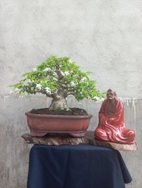 Giao lưa với ae