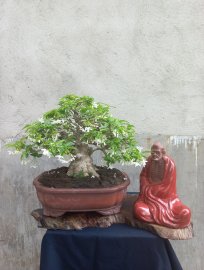 Giao lưa với ae